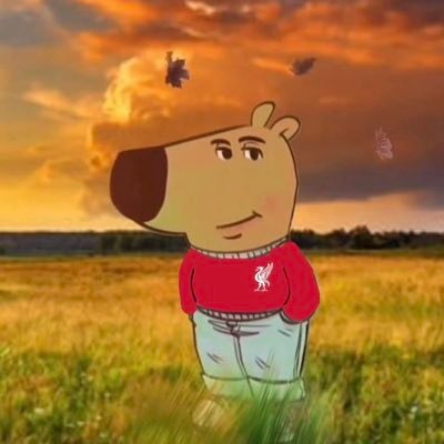 pmdwswtp's profile picture. @TrentAA @LFC @LewisHamilton