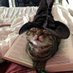不要找我说话小猫咪不会打字的 (@kanna_o3o) Twitter profile photo 不要找我说话小猫咪不会打字的 (@kanna_o3o) Twitter profile photo