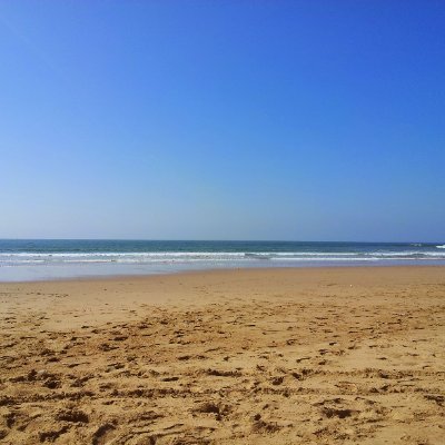 _Bawss_'s profile picture. 