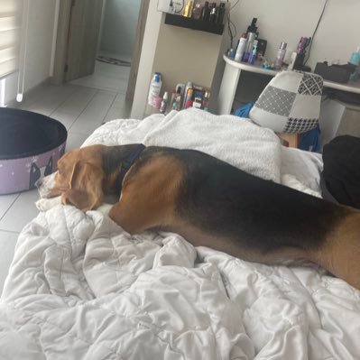 JuanCuevas1973's profile picture. 