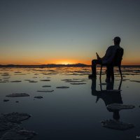 beesuls (@beesuls) 's Twitter Profile