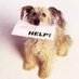 Help_Steve_Get_ORIF_Surgery (@stevef0606) Twitter profile photo Help_Steve_Get_ORIF_Surgery (@stevef0606) Twitter profile photo