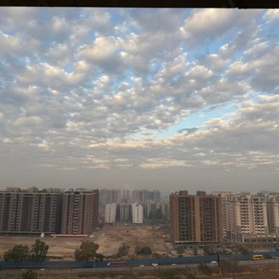 pjane8888's profile picture. Just another cricket lover 🏏 👊🏾