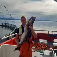 helmer hulvand (@hulvand) 's Twitter Profile