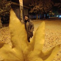 زهره.صاد (@zohre__sad) 's Twitter Profile