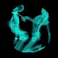 Jack Sparoow (@jacks11672) 's Twitter Profile