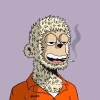 StefenCrypto (@stefencrypto) 's Twitter Profile Photo StefenCrypto (@stefencrypto) 's Twitter Profile Photo