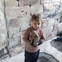 family safa (@rozy1837463) 's Twitter Profile