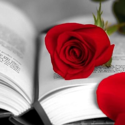 TerTer22185761's profile picture. 