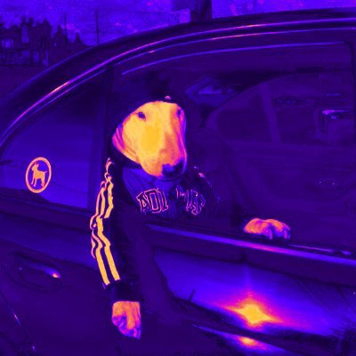 cfyloza_zapas's profile picture. Nie skaczę na bungee bo skaczemy z okien @CFYLOZA