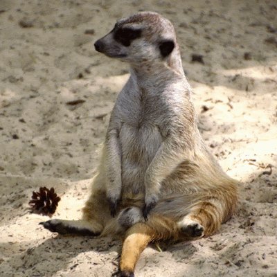 SebastianH5871's profile picture. 