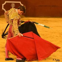 Luis Antonio Ceballos Solis (@ceballos_solisl) 's Twitter Profile