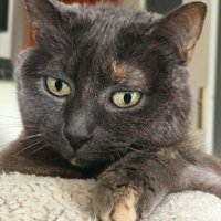 🇫🇷🌿Elisapereira #JamaisSansZemmour (@elisaperei46275) 's Twitter Profile Photo 🇫🇷🌿Elisapereira #JamaisSansZemmour (@elisaperei46275) 's Twitter Profile Photo