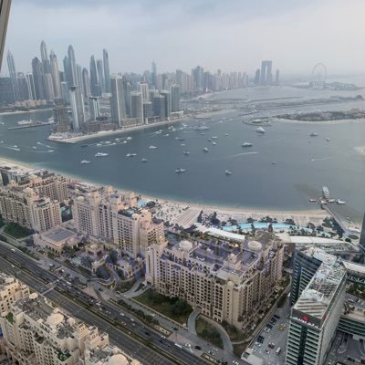 RamzyGreat's profile picture. Pro-peace, anti-war, pacifist, injury and civil rights lawyer, trial lawyer, archaeologist and ancient history enthusiast