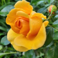 Rexie 🇨🇦 🇺🇦 🇨🇦 (@rexie54755059) 's Twitter Profile Photo