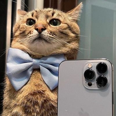 jonahgodwin1234's profile picture. Justcallmect2