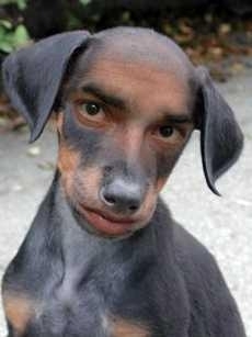 Azupero21's profile picture. 相互フォローよろしくお願いします！　