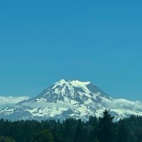 WA My Home (@freewastate) 's Twitter Profile