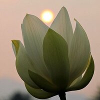 윤석산 (@jijung40) 's Twitter Profile