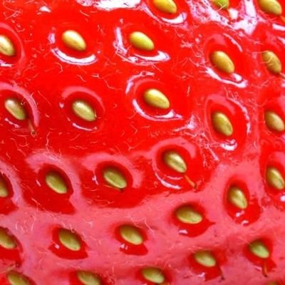 meowoooop's profile picture. уля``07``енсо-стей