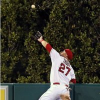 Trout’s Burner (@oc_halos3) 's Twitter Profile