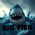BIG FISH 🐳🐋 (@bigonbig24) Twitter profile photo BIG FISH 🐳🐋 (@bigonbig24) Twitter profile photo