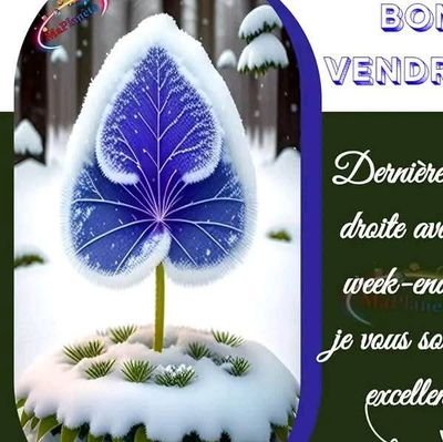 OnuphreP66957's profile picture. 