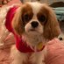 Joyce Wallach (@joycewallach) Twitter profile photo Joyce Wallach (@joycewallach) Twitter profile photo