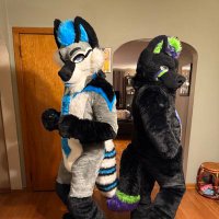 Shadow the Wusky (@shadowthewusky) 's Twitter Profile