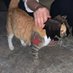 Silly_Cat (@silly_cat1488) Twitter profile photo Silly_Cat (@silly_cat1488) Twitter profile photo