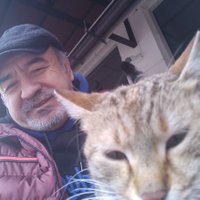 ali karaceylan (@akaraceylan) 's Twitter Profile