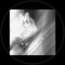RaM (@ramah000082) Twitter profile photo RaM (@ramah000082) Twitter profile photo