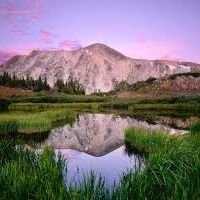 MubarakAhmedSh1's profile picture. 