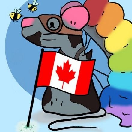 AndrewL28's profile picture. #xloyality_Army, #Xpossum, 🇨🇦🇨🇦🇨🇦🇨🇦