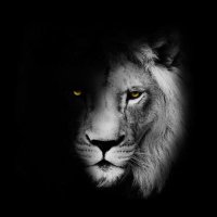 _gladijator_ (@_mali_mane_) 's Twitter Profile