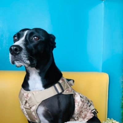 Maik_G8's profile picture. @GaboMaik13 código de Pi Network