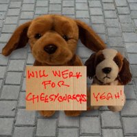 Ruby & Bruno Da Stuffies (@rubydastuffie) 's Twitter Profile
