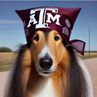 DuragReveille (@durag_reveille) 's Twitter Profile