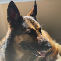 Mark D (@markmaggot4life) 's Twitter Profile