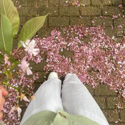 husnaafsl's profile picture. 🪷