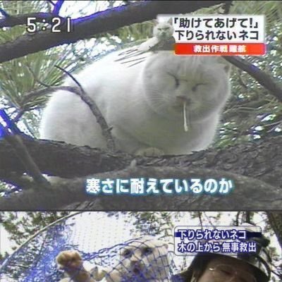 epoint1126's profile picture. 