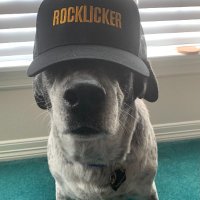 Scott (@scottthegeo) 's Twitter Profile Photo Scott (@scottthegeo) 's Twitter Profile Photo