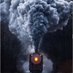 MAGA Train (@janet27972307) Twitter profile photo MAGA Train (@janet27972307) Twitter profile photo