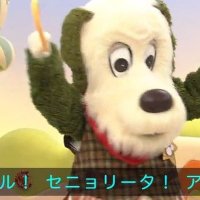 せいな♡バニー東京 (@men__mentaiko) 's Twitter Profile