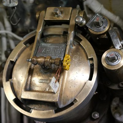 tdu_weight's profile picture. 