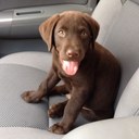 Guillermo Quesada - @memoqj23 - Twitter