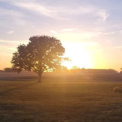 Rizzy_3304's profile picture. 