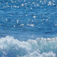 꿈결 (@lea_vitt) 's Twitter Profile Photo