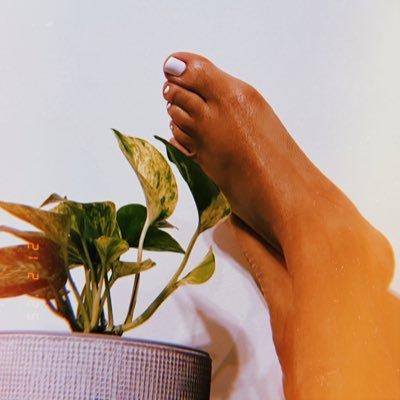 26 | Spoiled Ebony Queen♛♥︎ - ℛℯ𝒾𝓃𝒶 𝓃ℯℊ𝓇𝒶 𝒸ℴ𝓃𝓈ℯ𝓃𝓉𝒾𝒹𝒶♛♥︎ | 👣US 7 | I love making dreams come true✨ | DM for menu😈 | Venta de contenido |