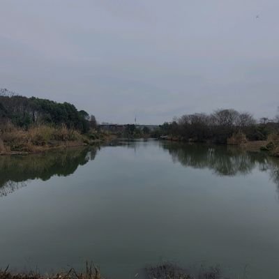 JintangLiu's profile picture. 